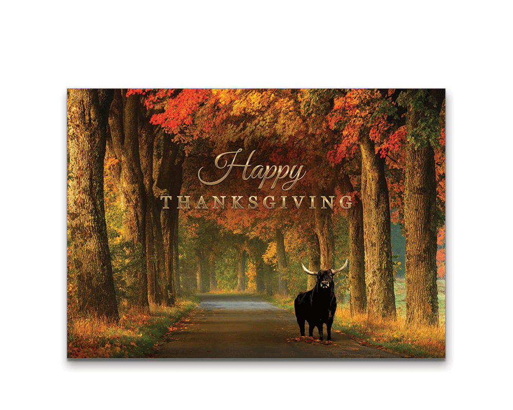 CaracappaJohn_EC20FSB