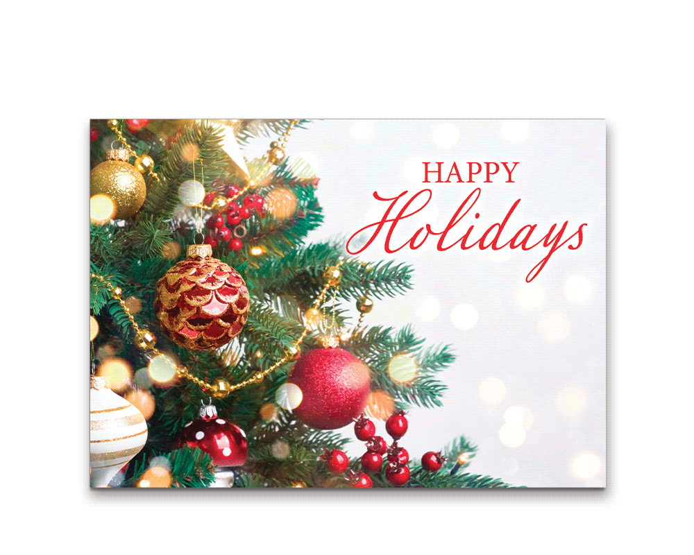 RodriguezAndreina_CEC23CTG