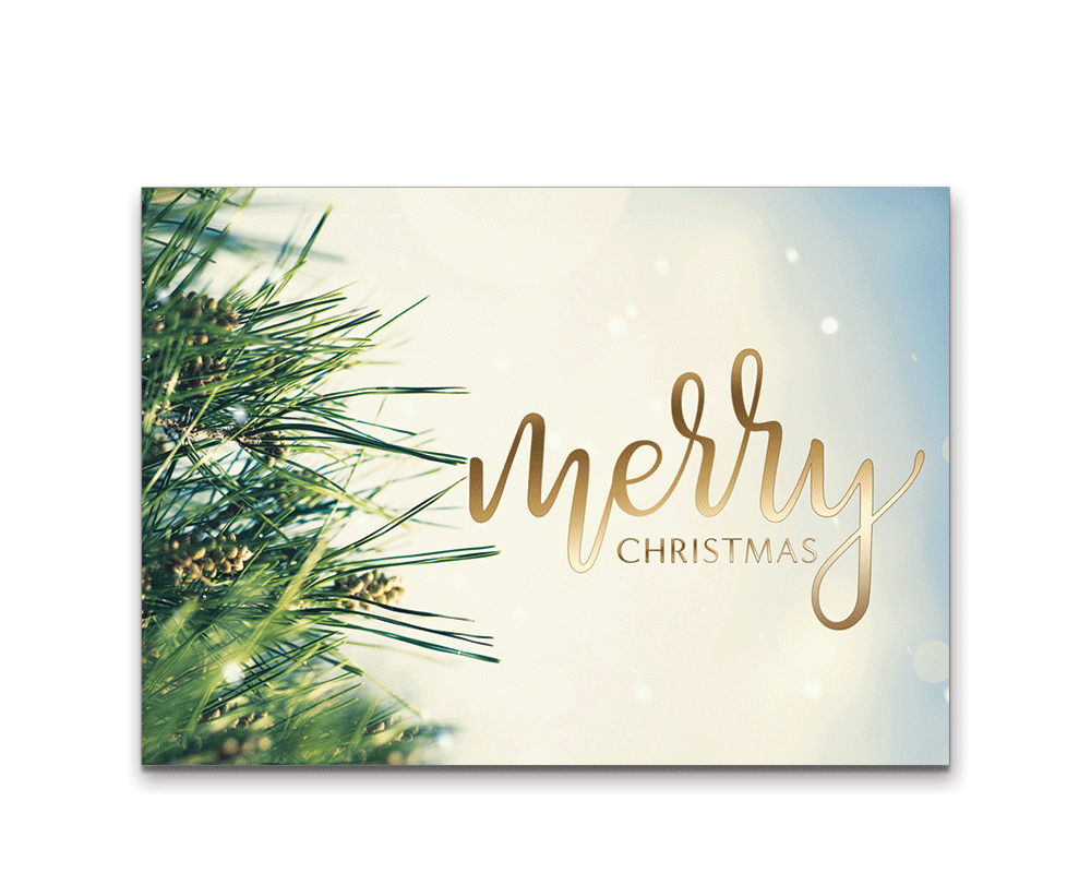 WilsonThomas_EC20MCE